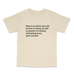 Crashing and Burning T Shirt