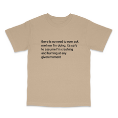 Crashing and Burning T Shirt