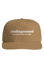 Somethings Not Right Hat