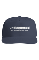 Somethings Not Right Hat