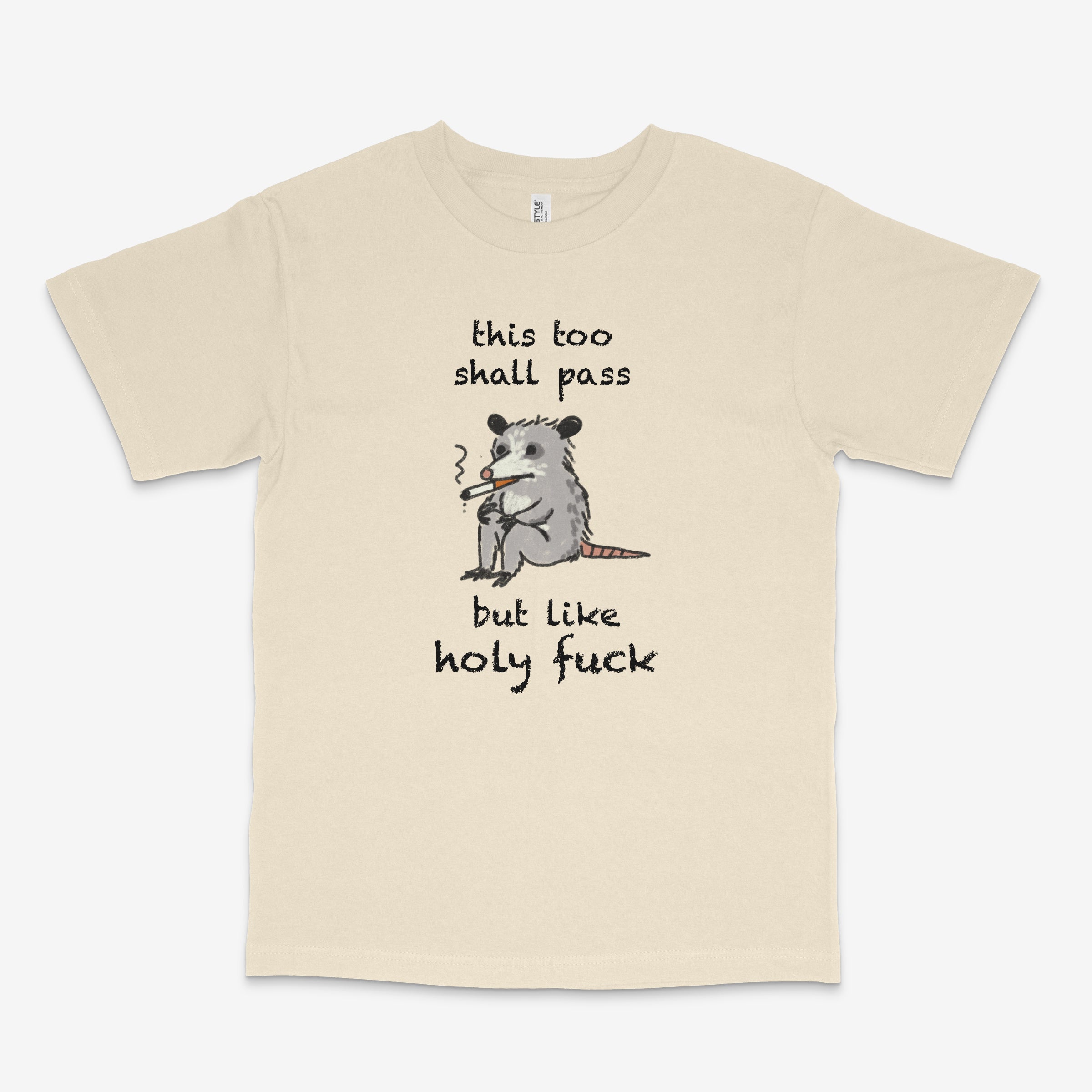This Shall Pass T Shirt