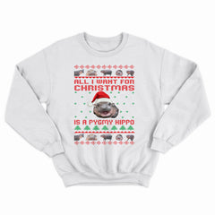 All I Want For Christmas Christmas Sweater