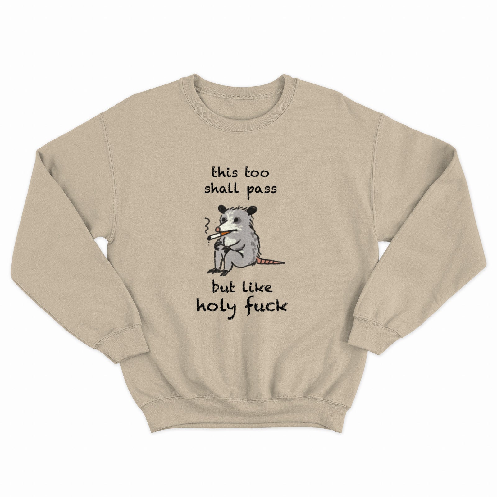 This Shall Pass Crewneck